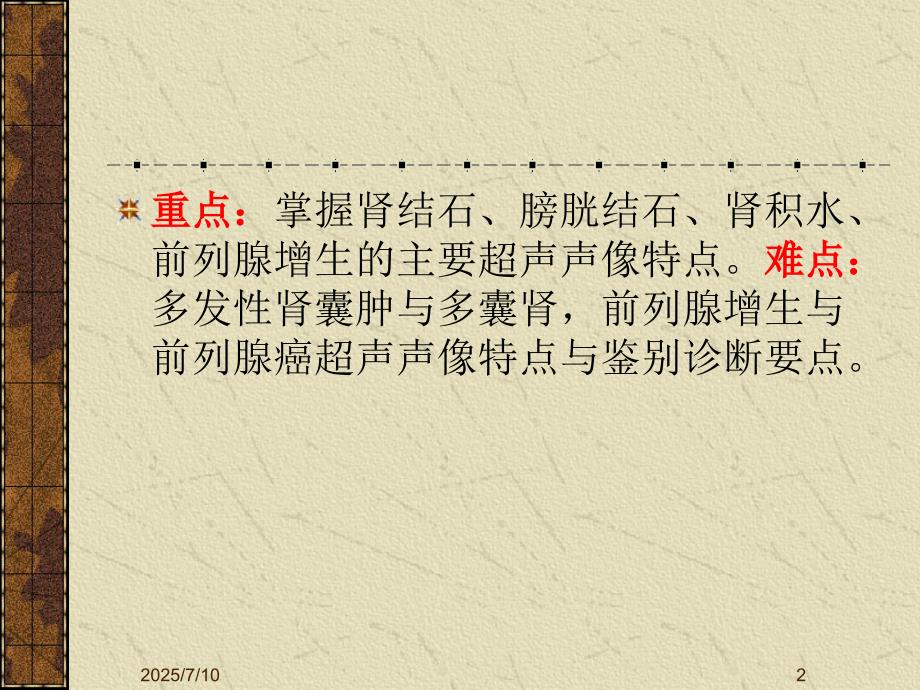 泌尿系统超声检查PPT课件.ppt_第2页