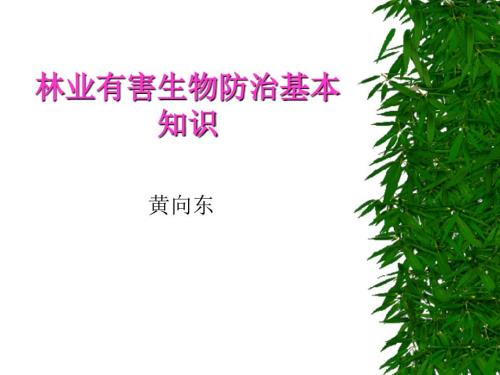 林业有害生物防治基本知识.ppt
