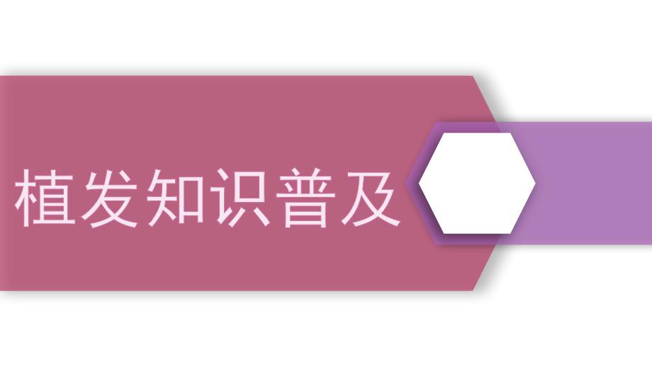 植发基础知识PPT课件.ppt_第1页