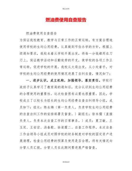 燃油费使用自查报告.doc