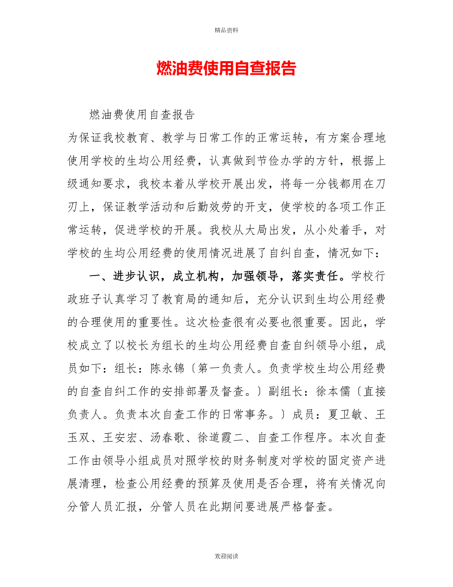 燃油费使用自查报告.doc_第1页
