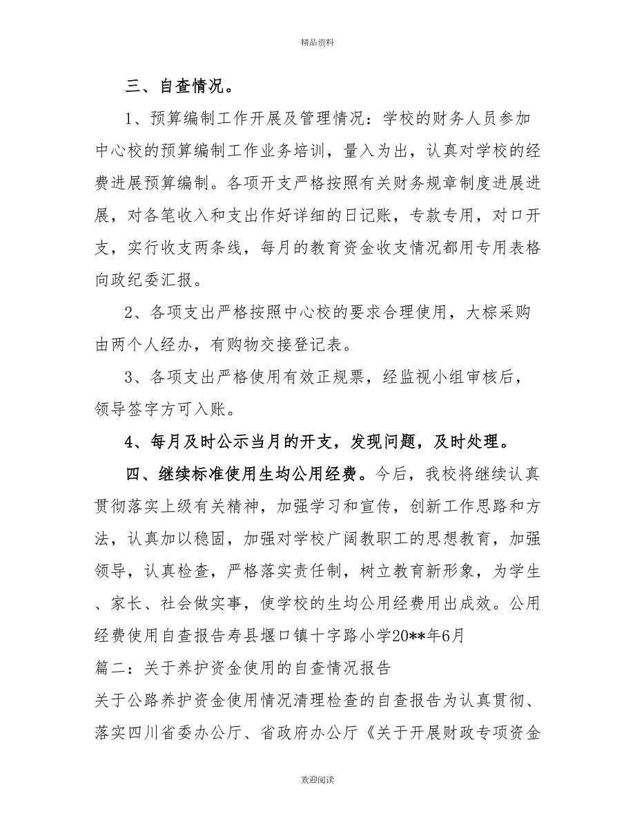 燃油费使用自查报告.doc_第2页