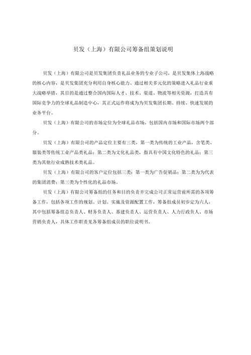上海有限公司筹备组策划说明.docx