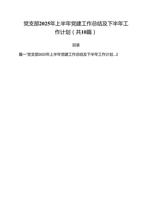 （10篇）党支部2025年上半年党建工作总结及下半年工作计划（精选）.docx