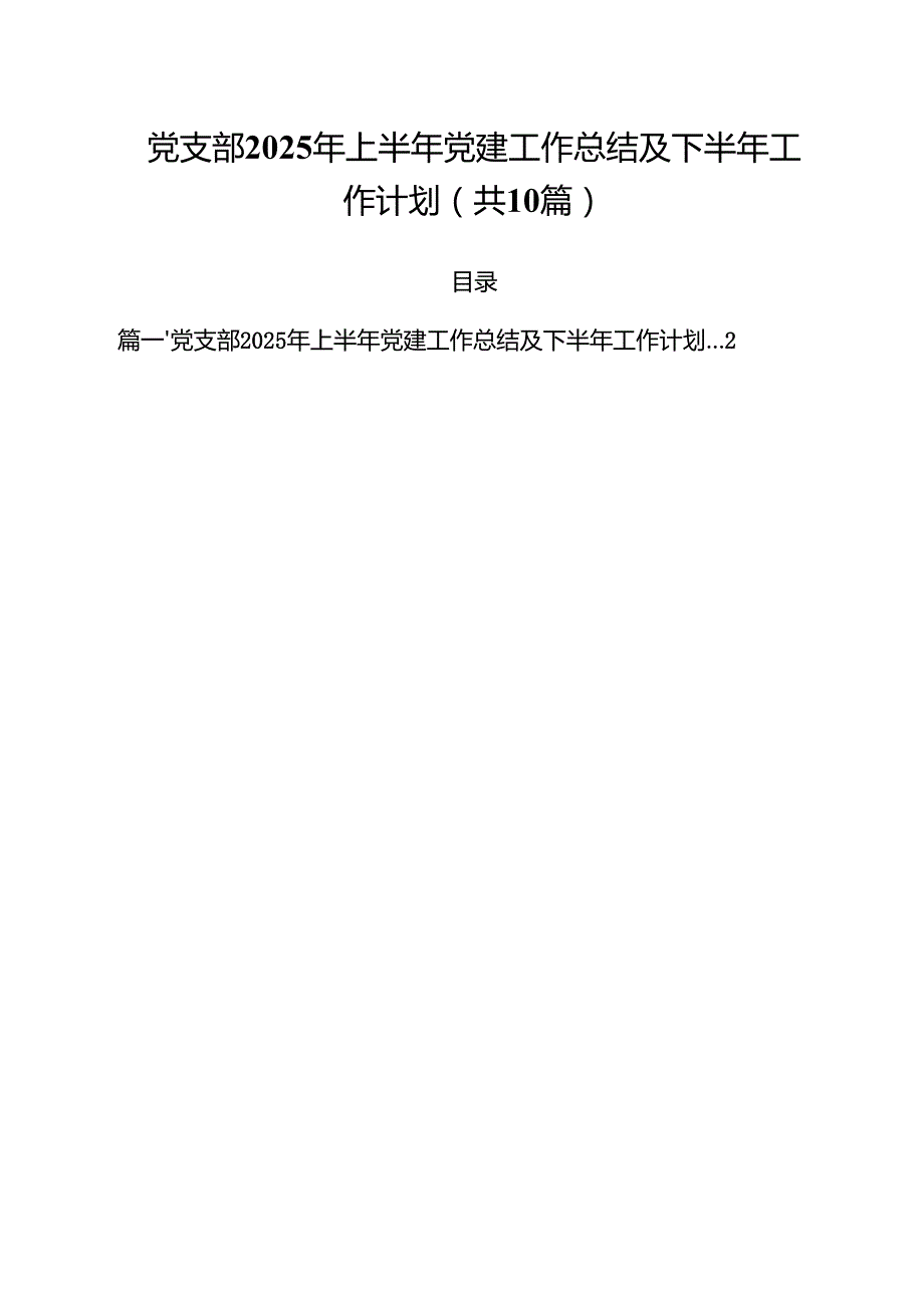 （10篇）党支部2025年上半年党建工作总结及下半年工作计划（精选）.docx_第1页