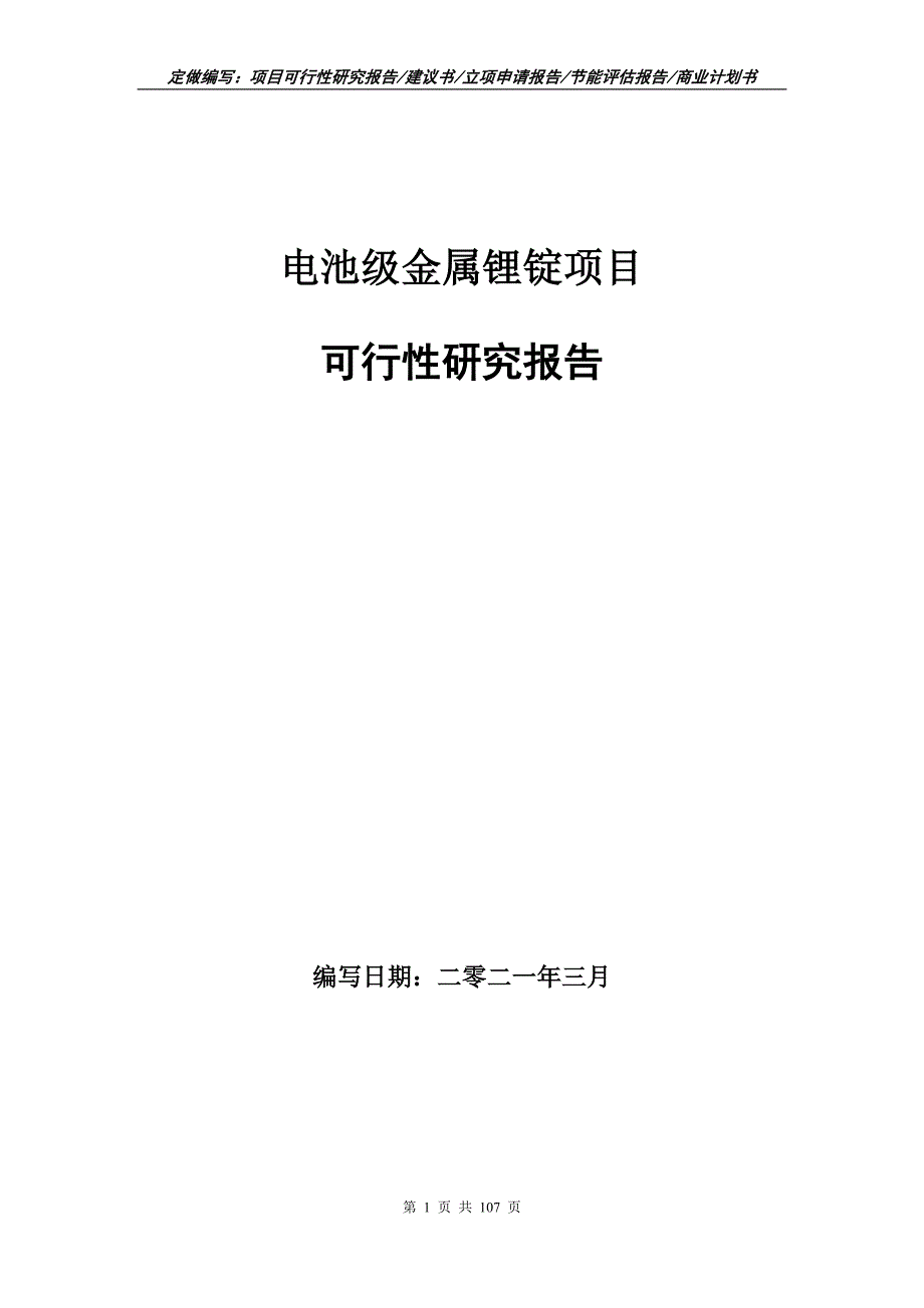 电池级金属锂锭项目可行性研究报告立项申请.doc_第1页