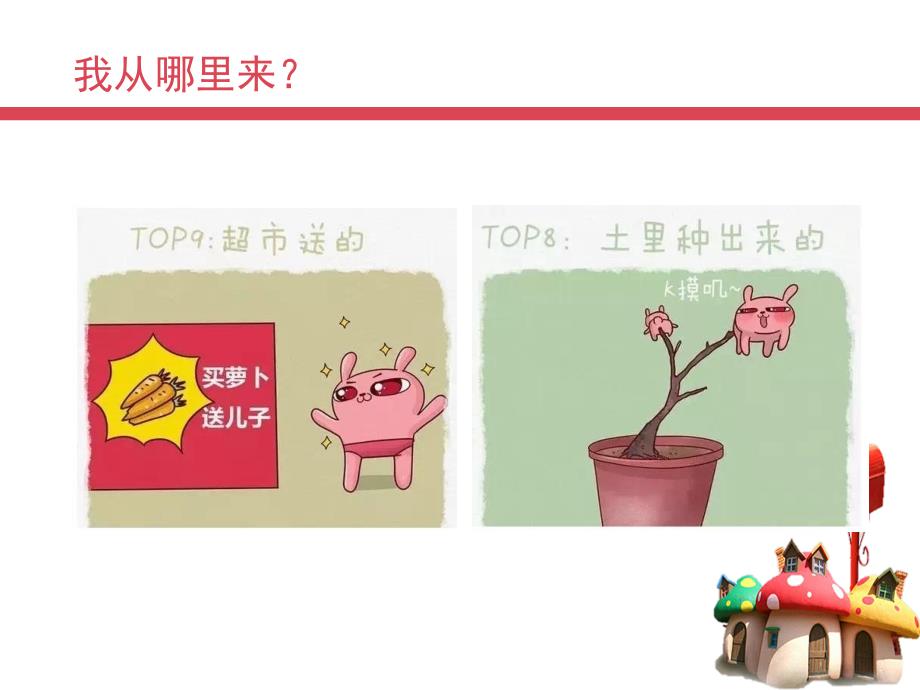 我从哪里来PPT课件.ppt_第3页