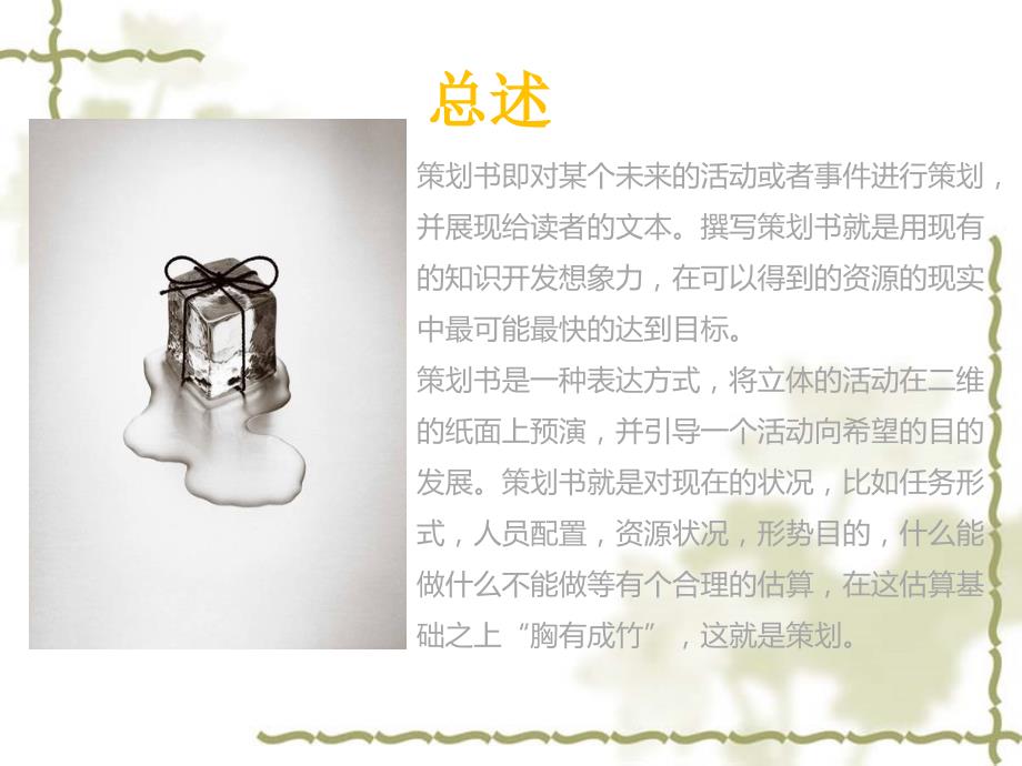 应用文策划书.ppt_第3页