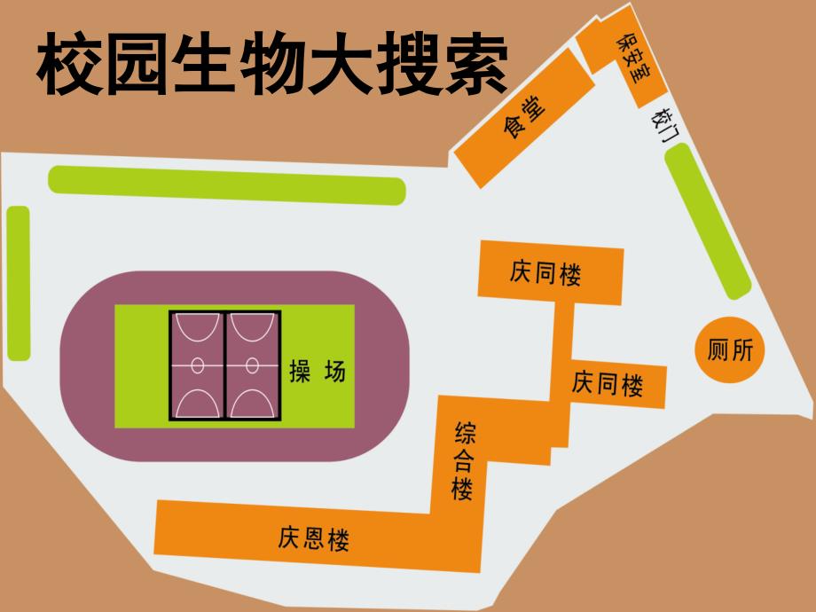 校园生物大搜索PPT课件.ppt_第1页