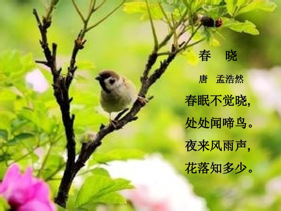 描写天的古诗PPT课件.ppt_第3页