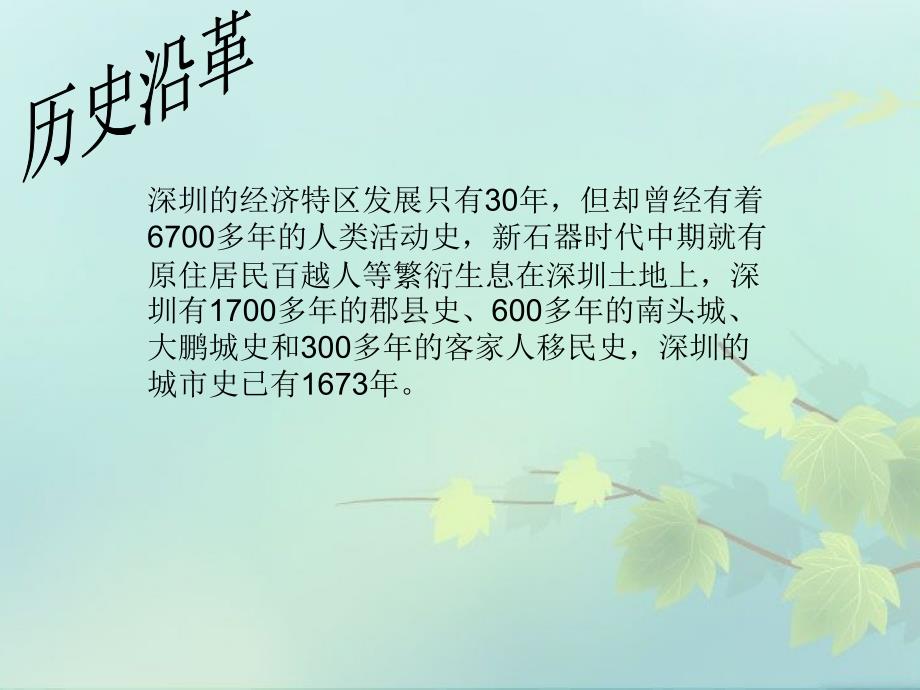 深圳发展史PPT课件.ppt_第3页