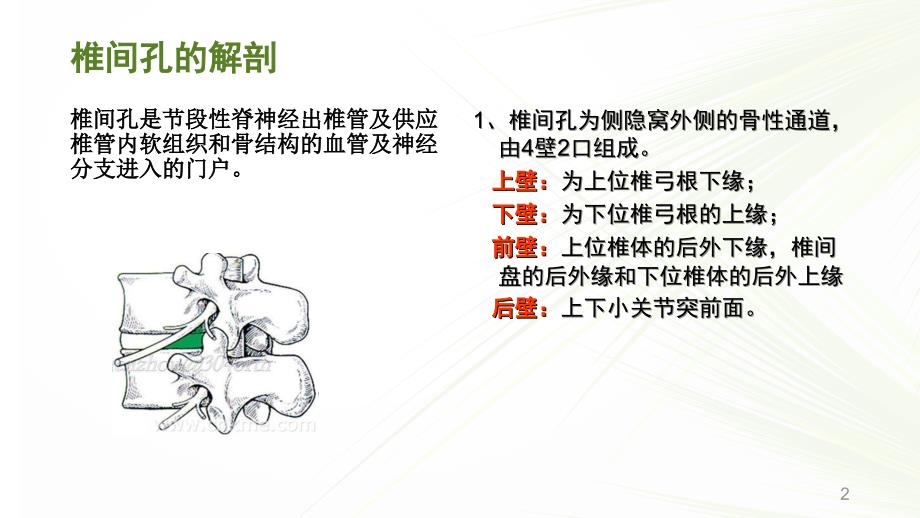 椎间孔镜手术配合ppt课件.ppt_第2页