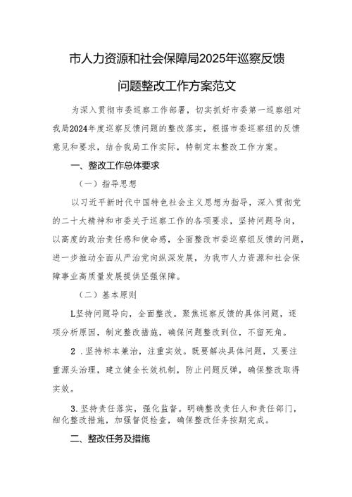 人力资源和社会保障部门2025年巡察反馈问题整改工作方案范文.docx
