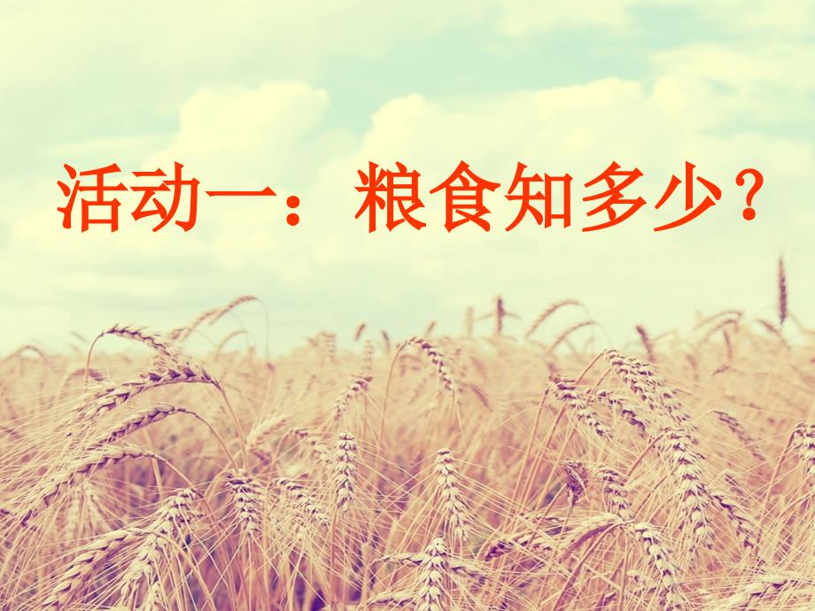 小学综合实践活动来之不易的粮食课件.ppt_第2页