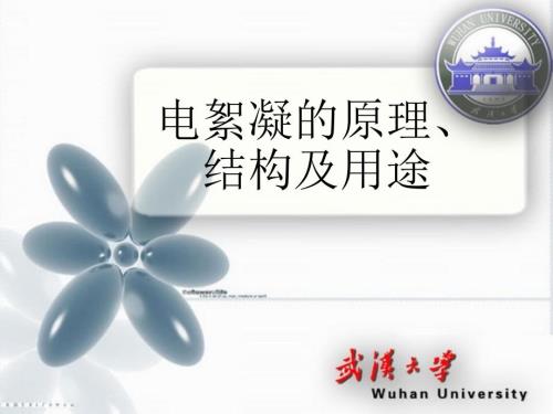 电絮凝的原理结构及用途.ppt