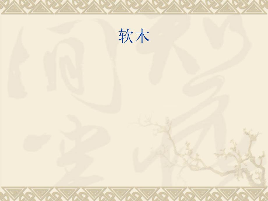 常见木材简介PPT课件.ppt_第2页