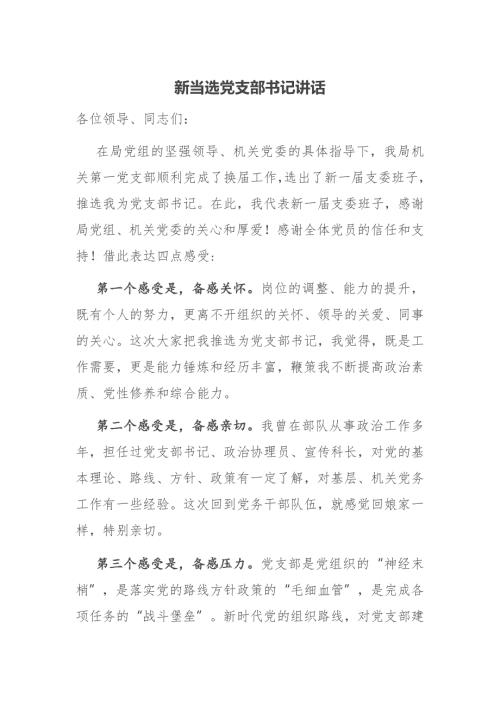 新当选党支部书记讲话.docx