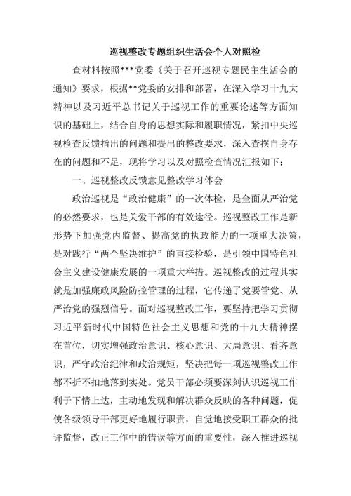 巡视整改专题组织生活会个人对照检.docx