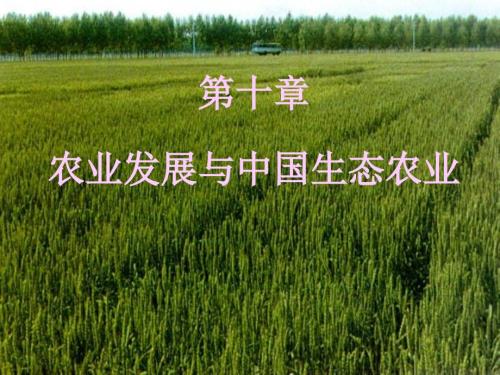 生态农业PPT课件.ppt