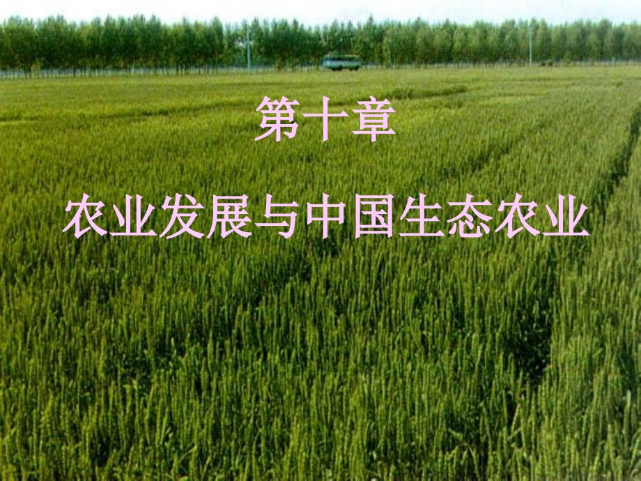 生态农业PPT课件.ppt_第1页