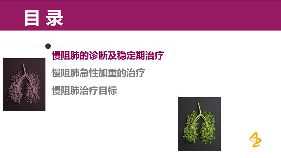 慢阻肺社区诊断与治疗课件.ppt_第2页
