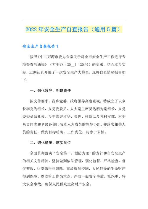 新版2022年安全生产自查报告通用5篇.doc
