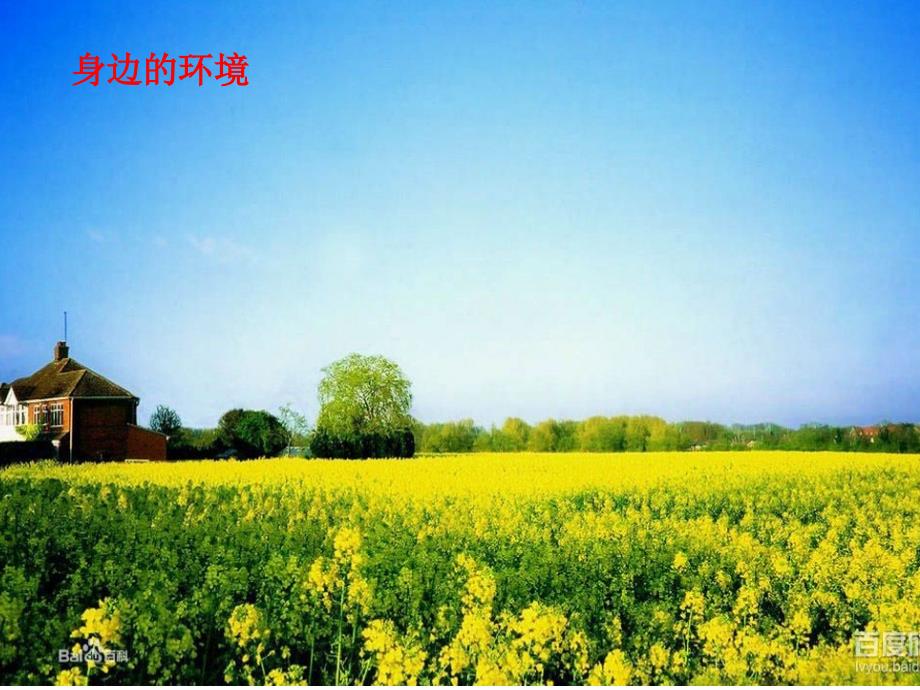 我身边的环境PPT课件.ppt_第2页