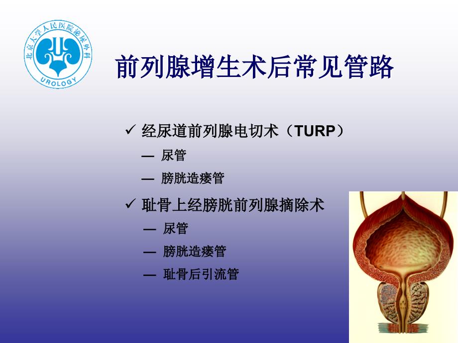 泌尿外科术后.ppt_第3页