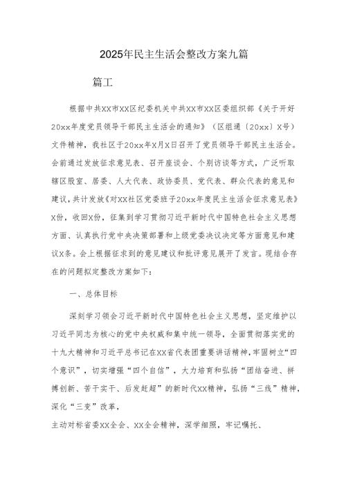 2025年民主生活会整改方案九篇.docx