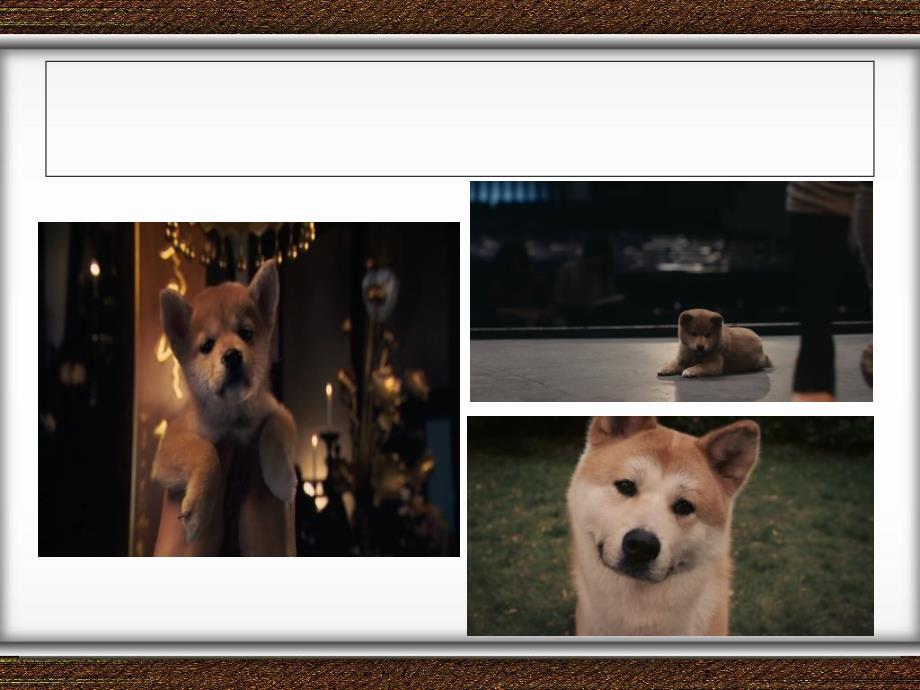 忠犬八公的故事英语.ppt_第3页