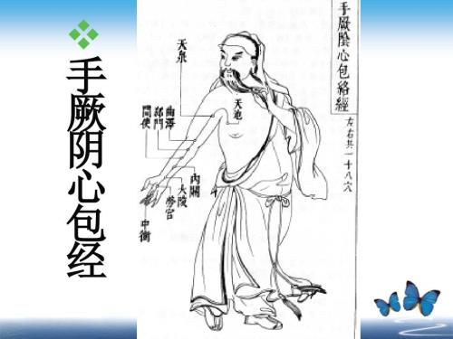 手厥阴心包经PPT课件.ppt