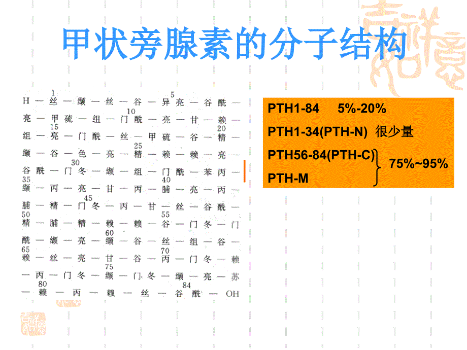 甲状旁腺功能减退.ppt_第3页