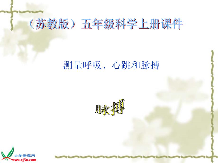 测量呼吸心跳和脉搏.ppt_第1页