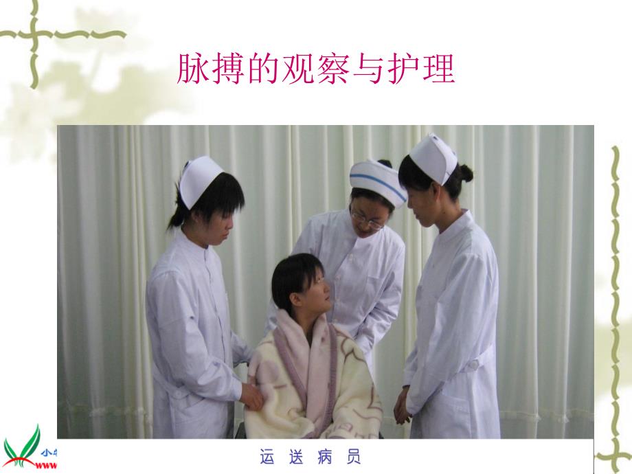测量呼吸心跳和脉搏.ppt_第2页