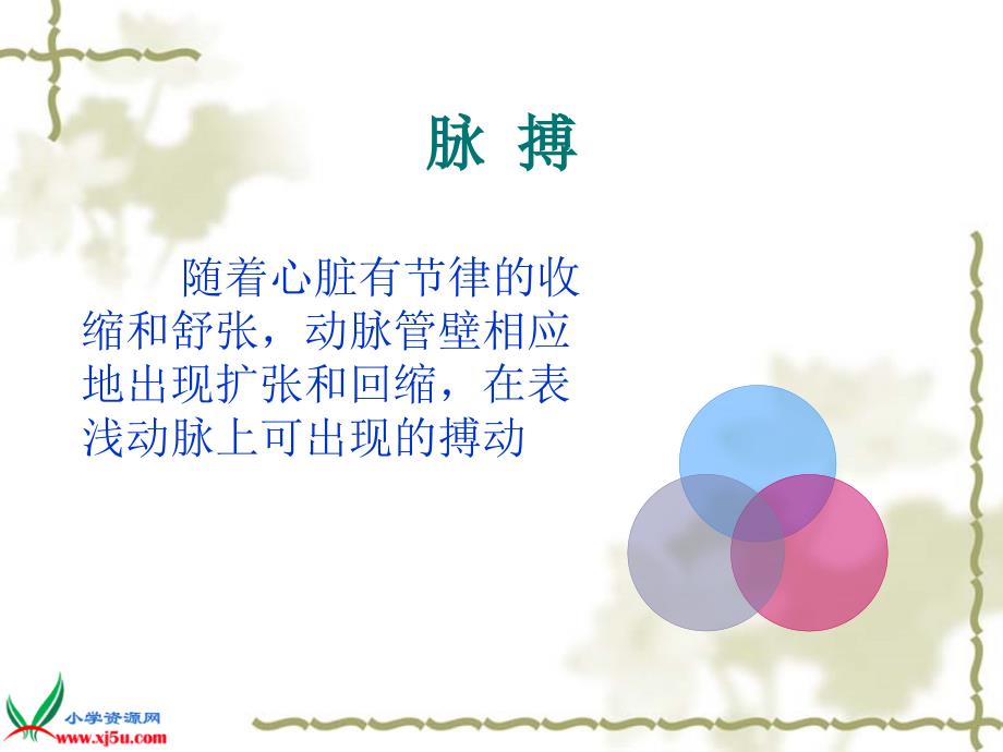 测量呼吸心跳和脉搏.ppt_第3页