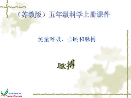 测量呼吸心跳和脉搏.ppt