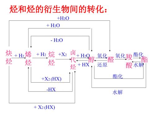 有机化学基础PPT课件.ppt