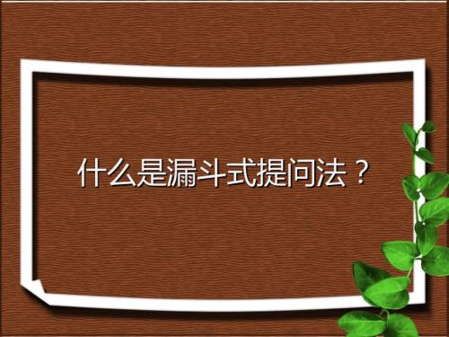 漏斗式提问法.ppt