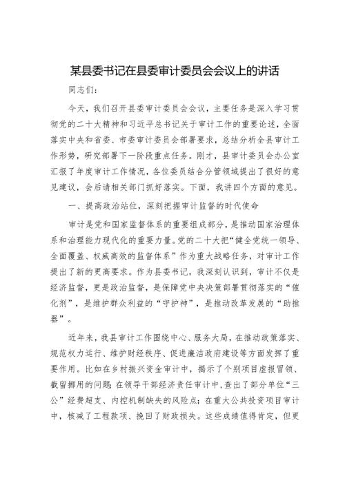 某县委书记在县委审计委员会会议上的讲话.docx