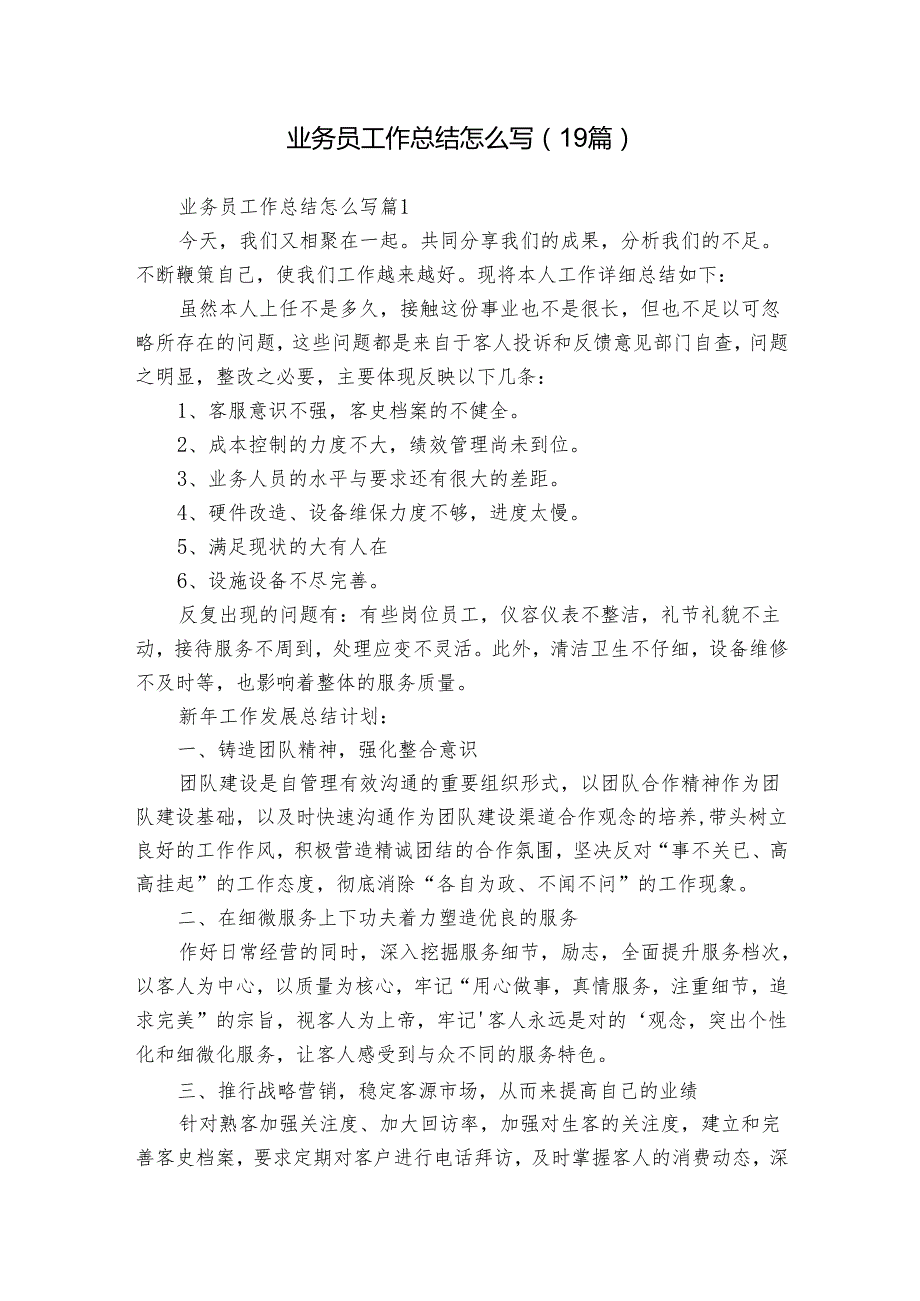 业务员工作总结怎么写（19篇）.docx_第1页