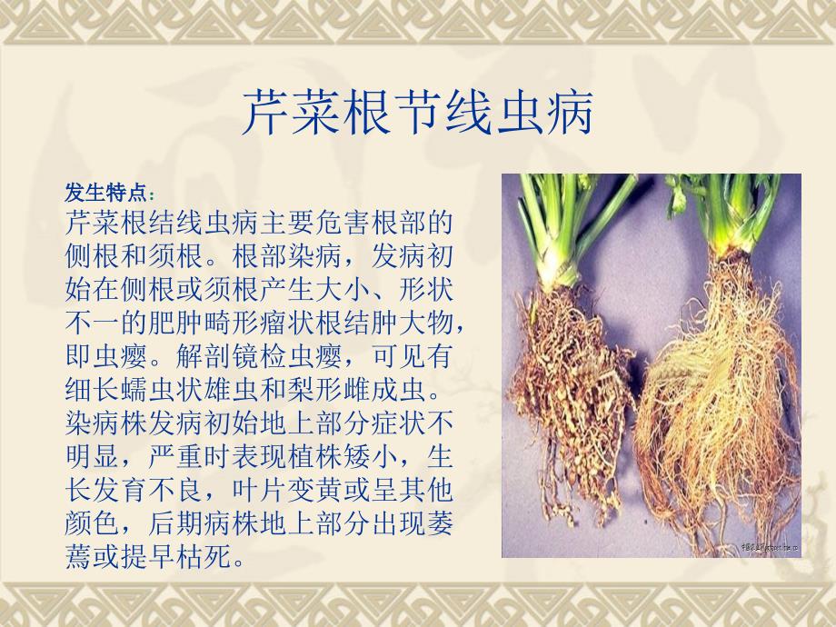 根线虫病防治PPT课件.ppt_第2页