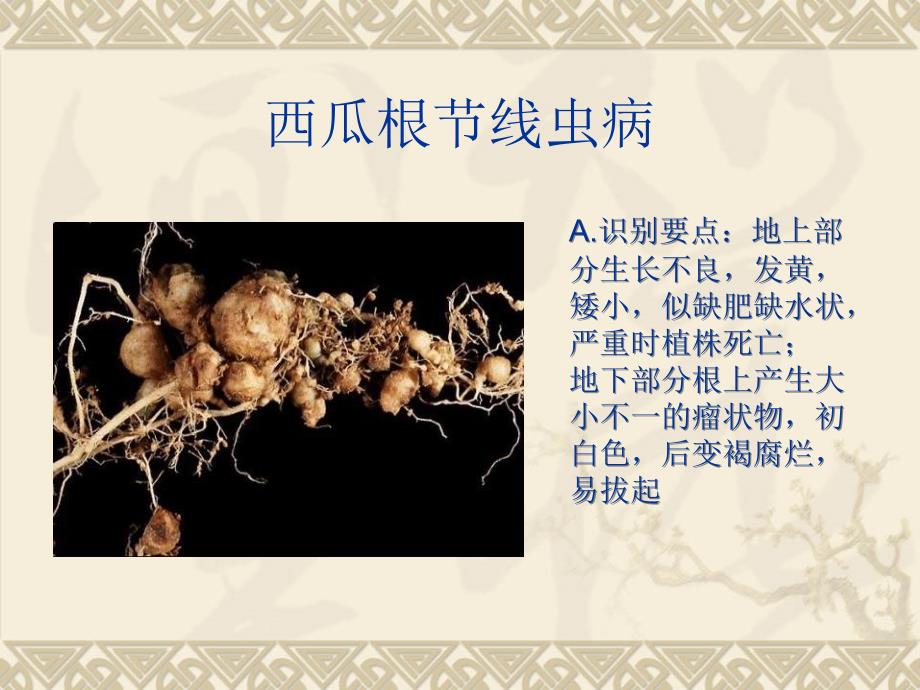 根线虫病防治PPT课件.ppt_第3页