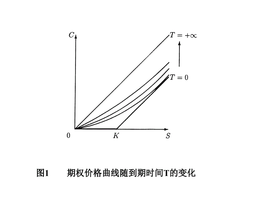 期权定价公式及其应用.ppt_第3页