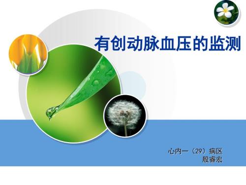 有创动脉血压的监测.ppt