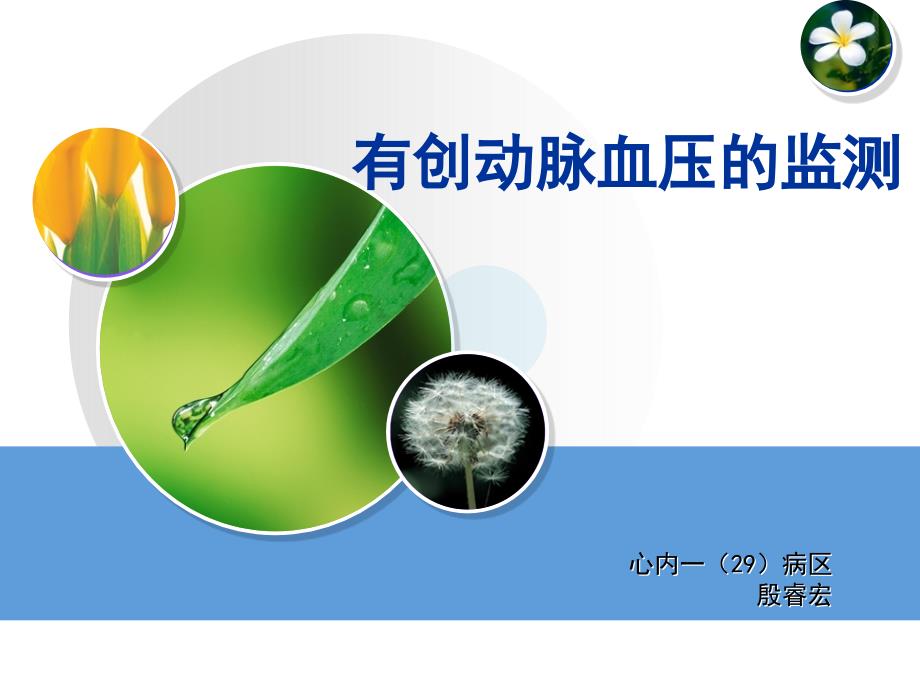 有创动脉血压的监测.ppt_第1页