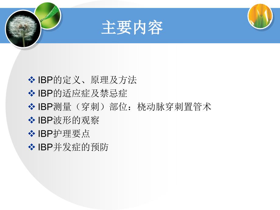 有创动脉血压的监测.ppt_第3页