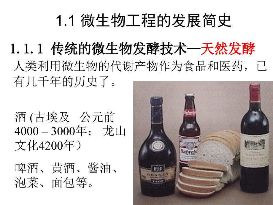 微生物工程概论PPT课件.ppt_第3页