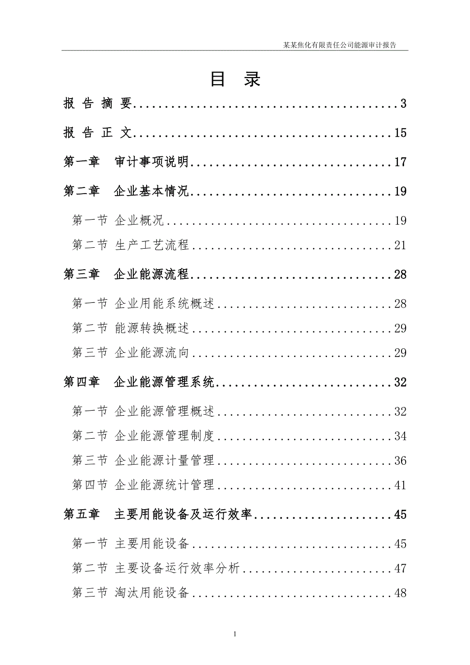 某焦化企业能源审计报告.doc_第1页