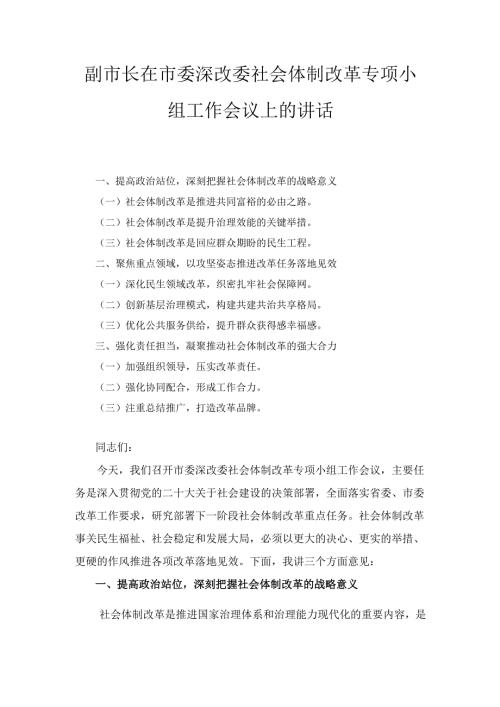 副市长在市委深改委社会体制改革专项小组工作会议上的 讲话.docx