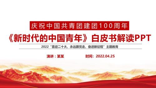 新时代的中国青年白皮书PPT课件.pptx
